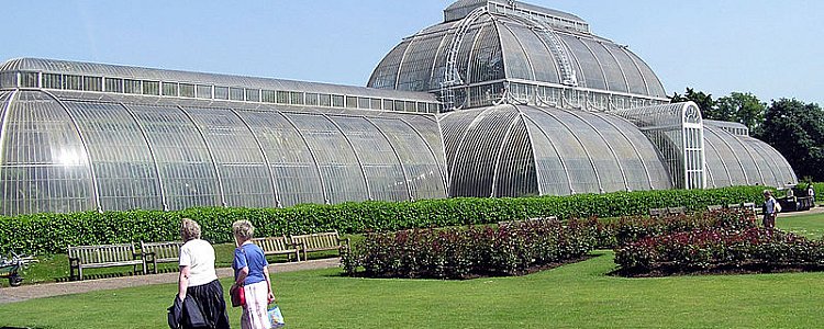 Королевские ботанические сады Кью – одно из чудес Лондона