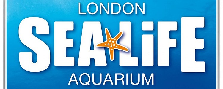 Лондонский аквариум
