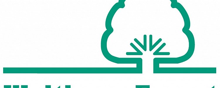 Район Уолтем Форест в Лондоне Район Уолтем Форест в Лондоне