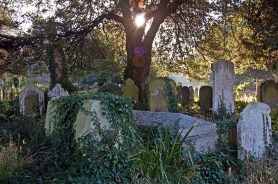 Бромптонское кладбище